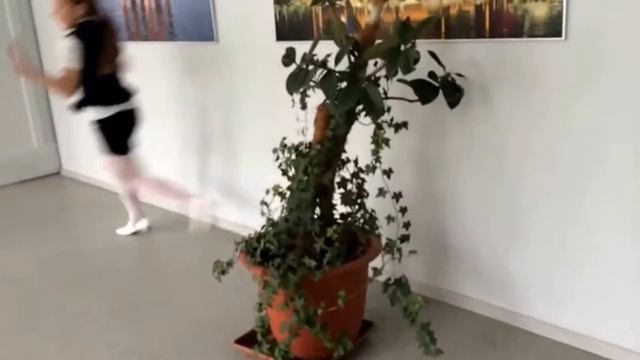 Туц,туц,ТУУУУЦ! смотреть онлайн