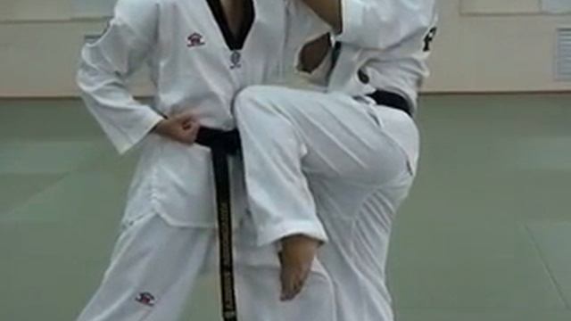 УДАРНЫЕ ПОВЕРХНОСТИ И ЗОНЫ ПОРАЖЕНИЯ - НОГА (ТАРИ) смотреть онлайн