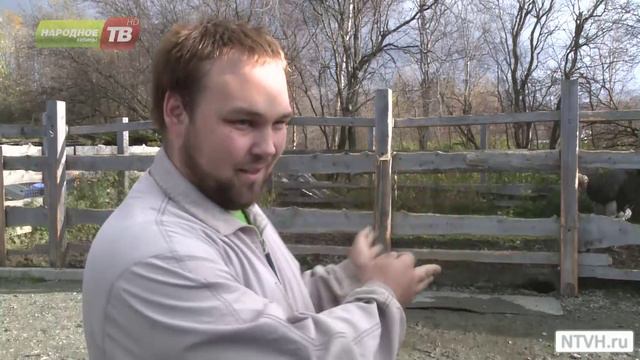 Каждый хочет любить! смотреть онлайн