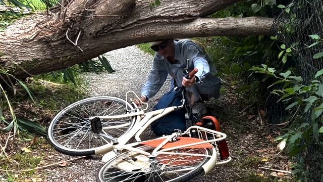 Едем до Комо на велосипедах + живу одна в квартире - влог из жизни смотреть онлайн
