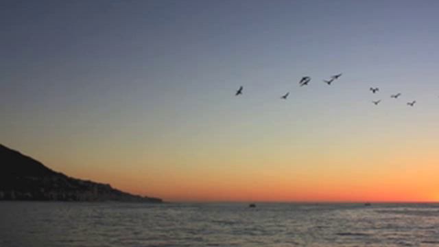 Chopin Sonata for Cello and Piano Opus 65 - Largo смотреть онлайн