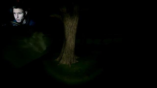 ШРЕК СЖЁГ ОСЛА! - Swamp Sim