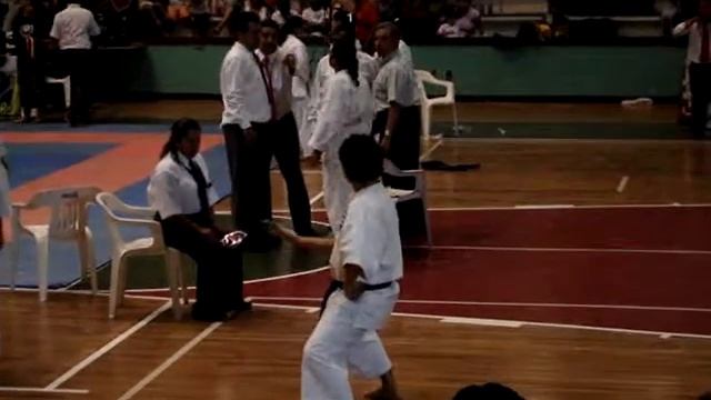 Shotokan Karate Do Nacional Poza Rica Kata смотреть онлайн