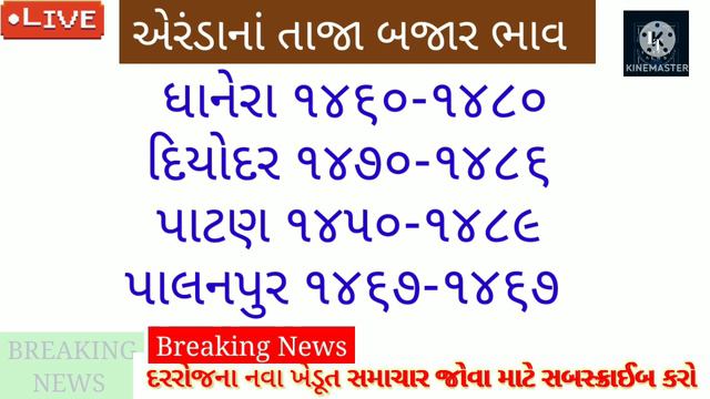 Arenda na bhav 18-6-2022 l Rajkot marketing yard and patan yard bhav l Commodity trend l castor смотреть онлайн