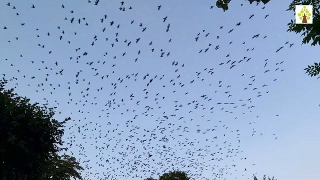 Genesis Chapter 5:1-32 🙏 смотреть онлайн