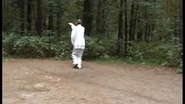 Синъицюань, Усин цюань. Xingyiquan (形意拳), wŭxíng quan (五行拳) смотреть онлайн