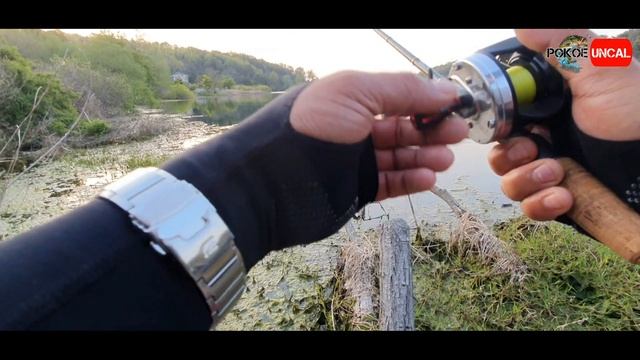Mancing di Korea. Mancing cuman 1 jam, tidak boncos. #PokoeUncal04 смотреть онлайн