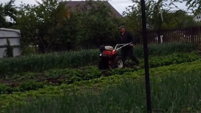 Неудачная попытка смотреть онлайн