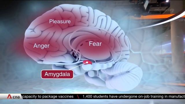 Конспирологический айсберг | 9 ЛЕСА НЕ СУЩЕСТВУЕТ смотреть онлайн