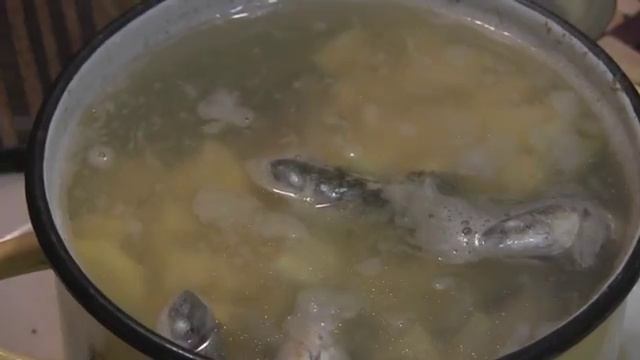 УХА Домашний рецепт вкуснейшей ухи Рецепт пошагово Fish soup смотреть онлайн