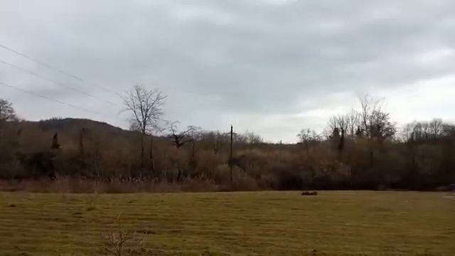 ЗВАНДРИПШ 150 СОТОК смотреть онлайн