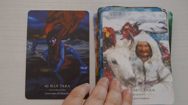 Water Temple Oracle Cards | Visually Striking Oracle Deck | Spiritual Messages | HD Flip Through смотреть онлайн