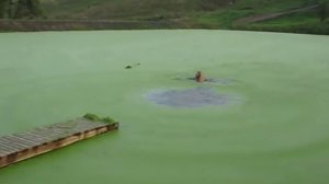 Купание в болоте