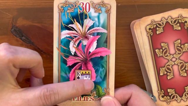 Lustrous Lenormand | *New Release* | Full Flip Through | December 2022 смотреть онлайн