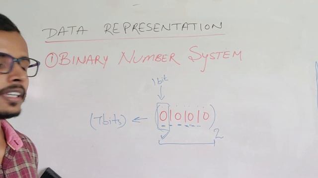 CS11.1.4 Data Representation | Number Systems | Python |Class 11 Computer Science смотреть онлайн