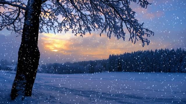 Sleeping Music | Calm Music | Meditation Music |#relaxing#stressreliefmusic#healingmusic #dreamdeep