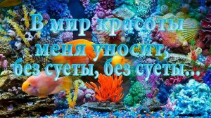 В мир красоты меня уносит, без суеты, без суеты *