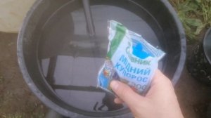 Дезинфекция теплицы медным купоросом