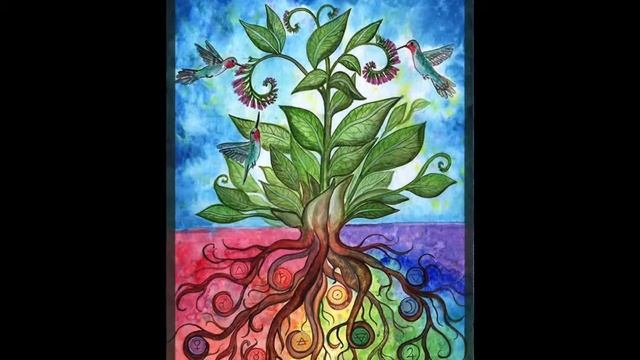 Plant Spirit Oracle Video смотреть онлайн