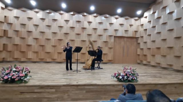 Dodgson Duo for Flute and Harp 1/4 смотреть онлайн