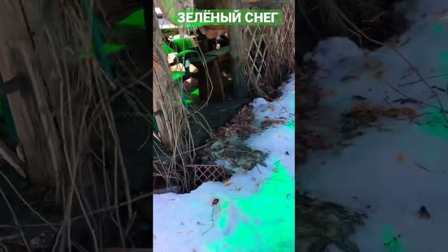 Зелёный снег на даче смотреть онлайн
