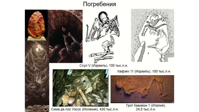 Когда появился человек. смотреть онлайн