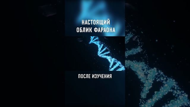 Вот Как Выглядел ТУТАНХАМОН На Самом Деле #shorts смотреть онлайн