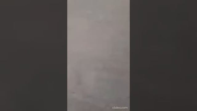 Молокопровод Простота и надежность смотреть онлайн