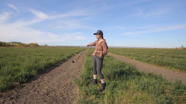 Sorbaria Sorbifolia│Ten Lairs Deep│#FarmersofFlowers смотреть онлайн