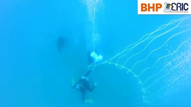 Coral Nursery Installation at ERIC Tobago смотреть онлайн