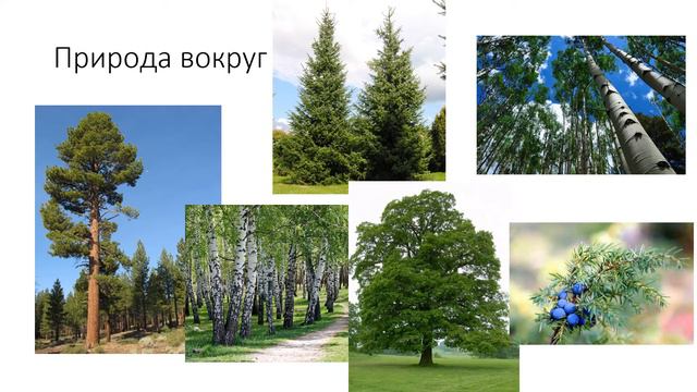 загрязнение реки Нерской смотреть онлайн