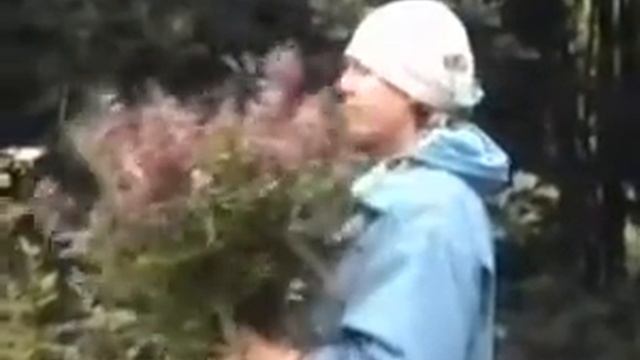 Чистец- Стахис смотреть онлайн