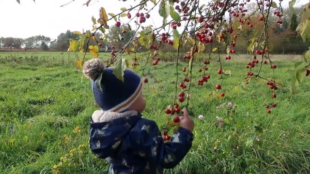 Осень в Нидерландах смотреть онлайн