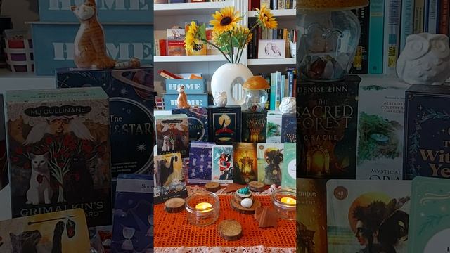 Sagittarius ♐ The Magician. Six of Cups. Page of Swords. Forest Temple. The Sorcerer. Imbolc. смотреть онлайн