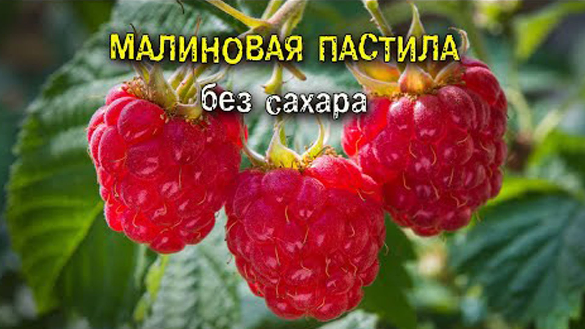 Малиновая пастила без сахара. Бабушкин рецепт смотреть онлайн