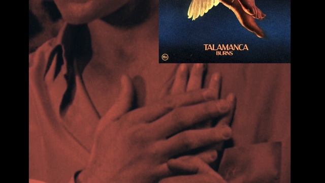 Burns Talamanca (AIAP's Dirty Dancing Remix) Dirty Talamanca смотреть онлайн