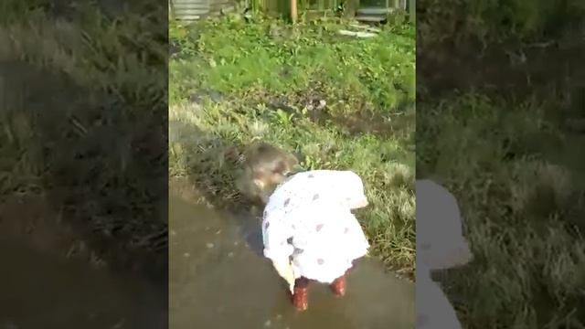 Девочка по лужам