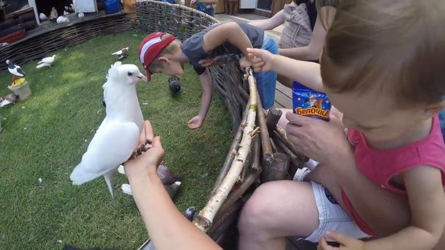 ПаркПобеды смотреть онлайн