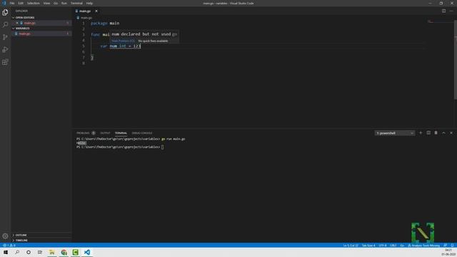 Go Installation and Variables | Golang tutorial 2020 | Hindi смотреть онлайн