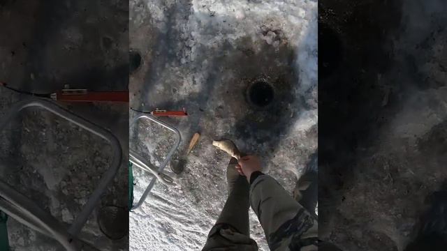 рыбалка в туркестанской области! смотреть онлайн