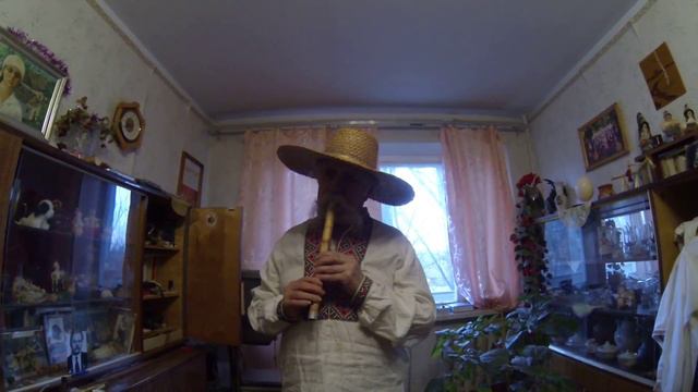 В гостях у Запорожского народного артиста кобзаря Владимира Ивановича,играет на флейте №7 смотреть онлайн
