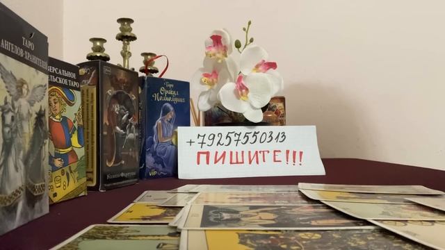 Таинственные ночи