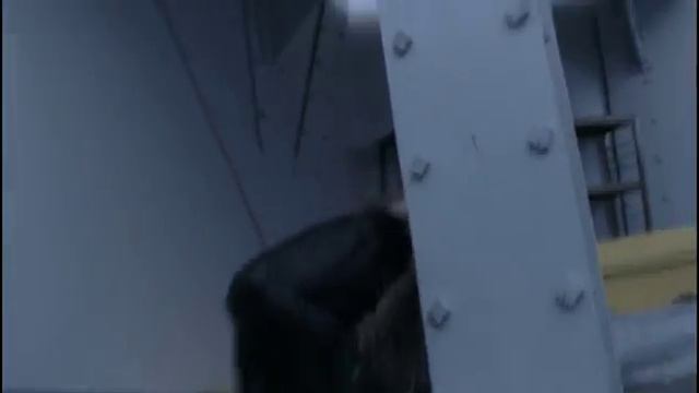 Ледяные акулы смотреть онлайн