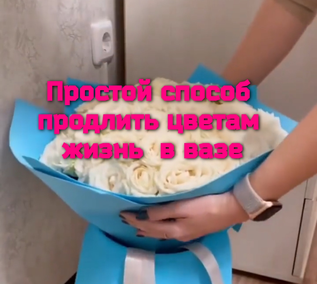Простой способ продлить цветам жизнь в вазе смотреть онлайн