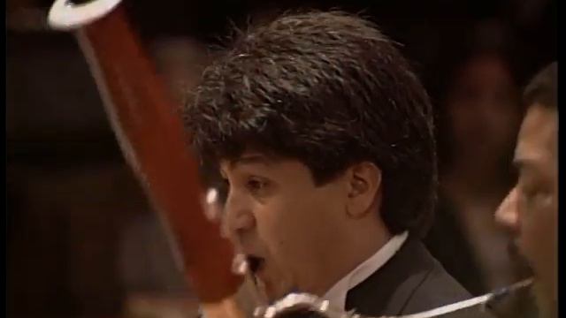Richard Strauss Duetto Concertino Clarinete y Fagote con Orquesta de cuerdas y Arpa. "Completo" смотреть онлайн