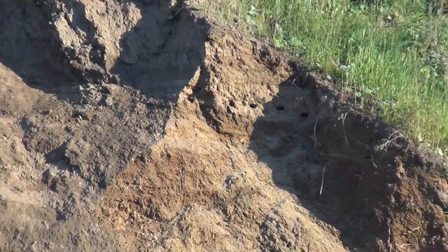 Природа бурмакина гора. Лесосибирск. Видео высокой четкости.