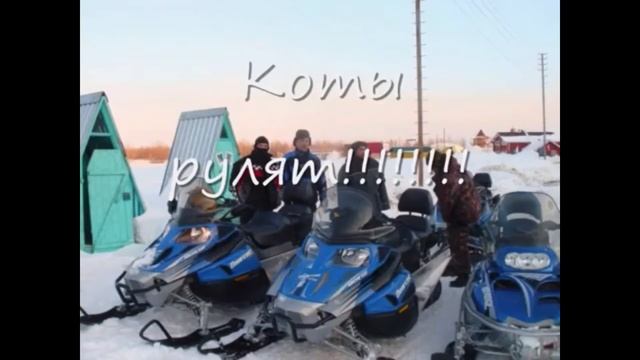 Снегоход Arctic Cat 570XT Bearcat смотреть онлайн