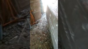 Продолжаем ремонт лодки «Воронеж» Срезаем форштевень