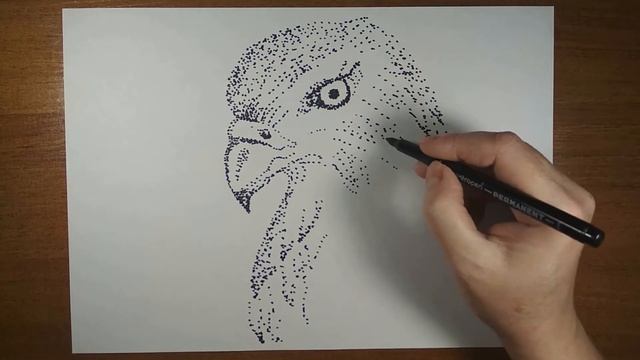 Техника рисования точками. Сокол. смотреть онлайн
