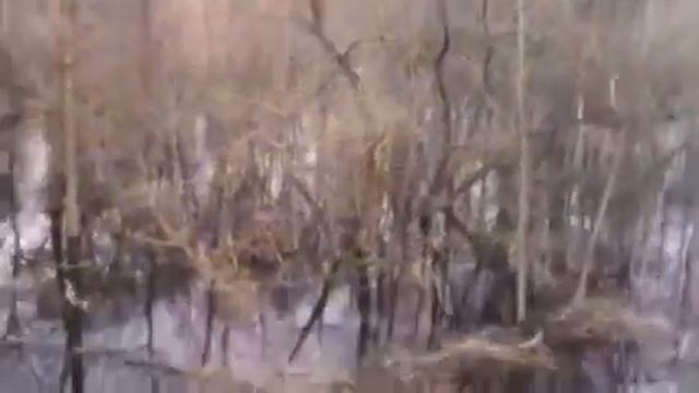 Границу переезжали вброд. смотреть онлайн